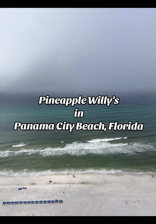 Pineapple Willy's in Panama City Beach showing restaurant, venue, video by keepingupwithshakayla on TikTok