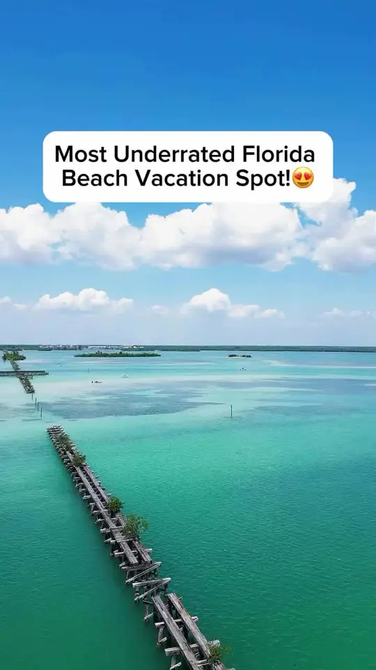 Pink Elephant in Boca Grande showing restaurant visit, food, pink elephant, video by thefloridaqueenie_ on TikTok