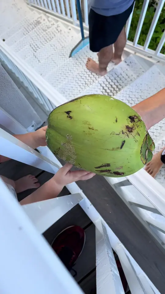  in Florida showing pizza, visit, video by thetasteman on TikTok