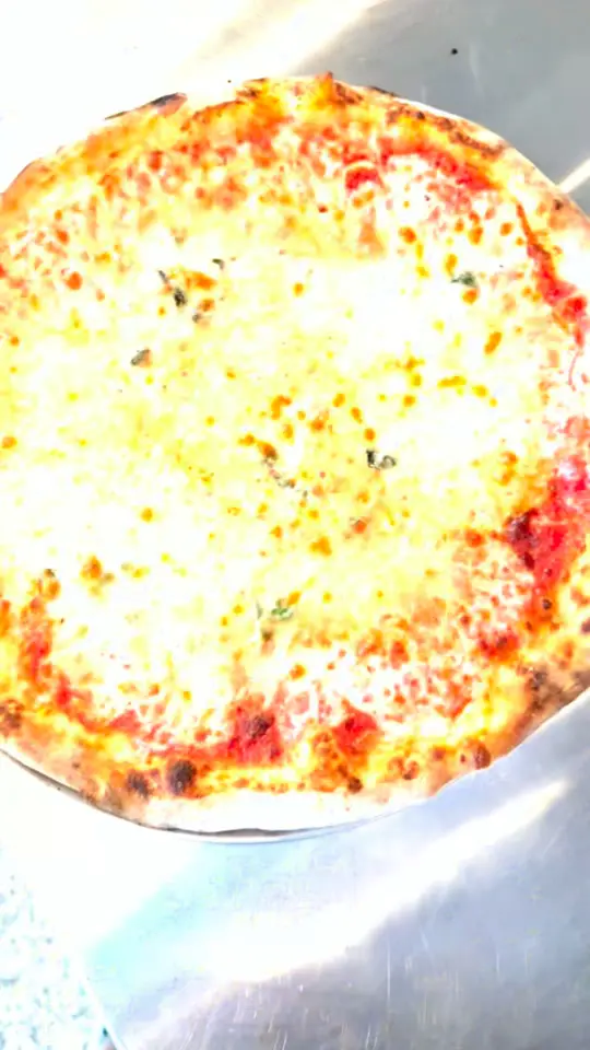 Pizzeria Fiamma in Snellville showing pizza, new york style pizza, video by Pizzeria Fiamma on Facebook