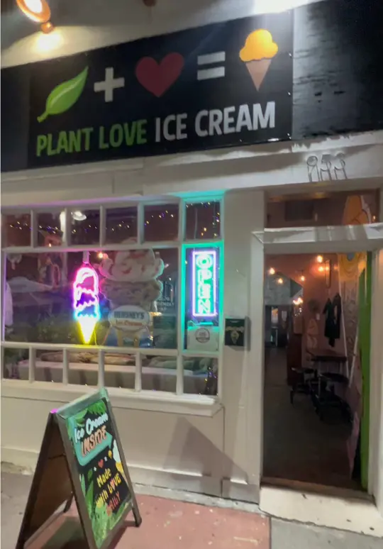  in Florida showing vegan ice cream, housemade vegan ice cream, cones, cakes, trendy vibes, community, video by kt.sells.tampa.bay on TikTok