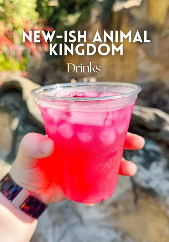 Pongu Pongu in Bay Lake showing drinks, new-ish drinks, video by bethanyvinton on TikTok