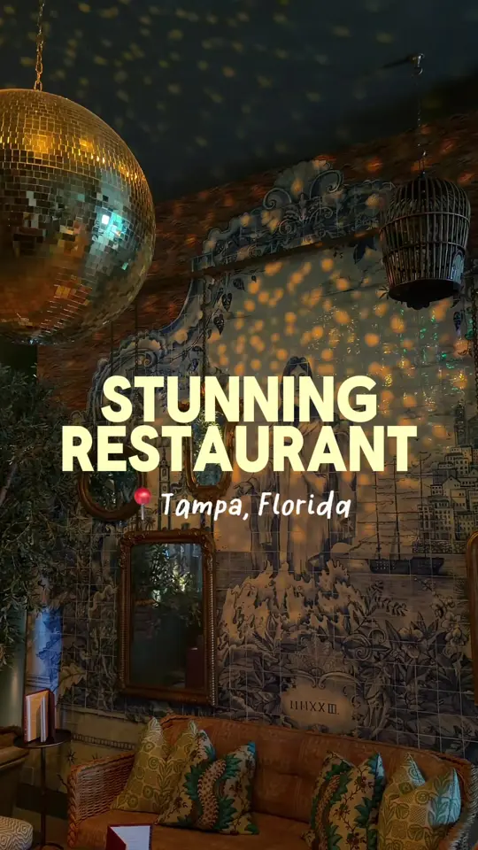 Predalina in Tampa showing review, visit, whipped feta, carne crudo, salmon, limoncello martini, video by sunkissedintampa on TikTok