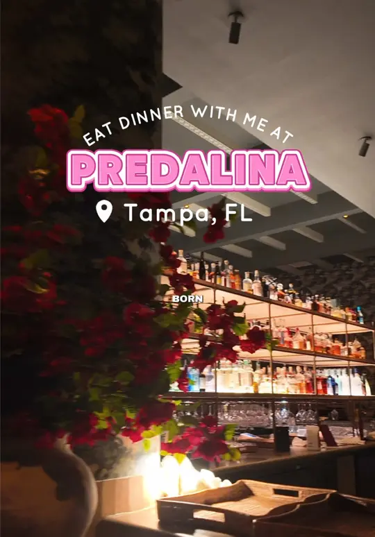 Predalina in Tampa showing restaurant visit, server service, atmosphere, fresh food, video by frommysicilianheart on TikTok