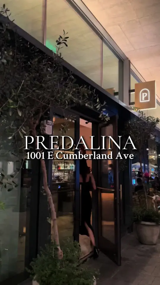Predalina in Tampa showing review, visit, appetizer, crudité & pita, main course, steak frites, lamb pita, dessert, basque cheesecake, video by visittampabay on TikTok