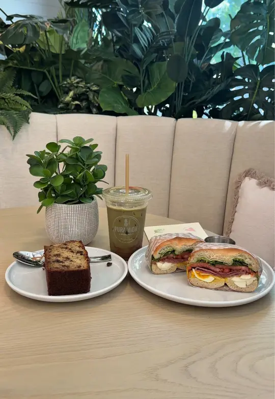 Pura Vida Miami - Key Biscayne on TikTok, video by beckyyvasquezz