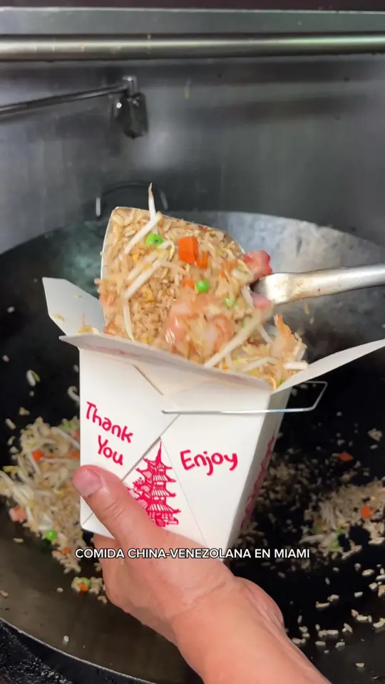  in Florida showing restaurant visit, chinese food, venezuelan chinese food, duck peking, lumpia, house special, video by gabrielaromeros on TikTok