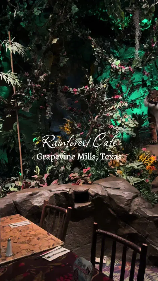 Rainforest Cafe in Lake Buena Vista showing restaurant visit, atmosphere, food, video by savythestudent on TikTok