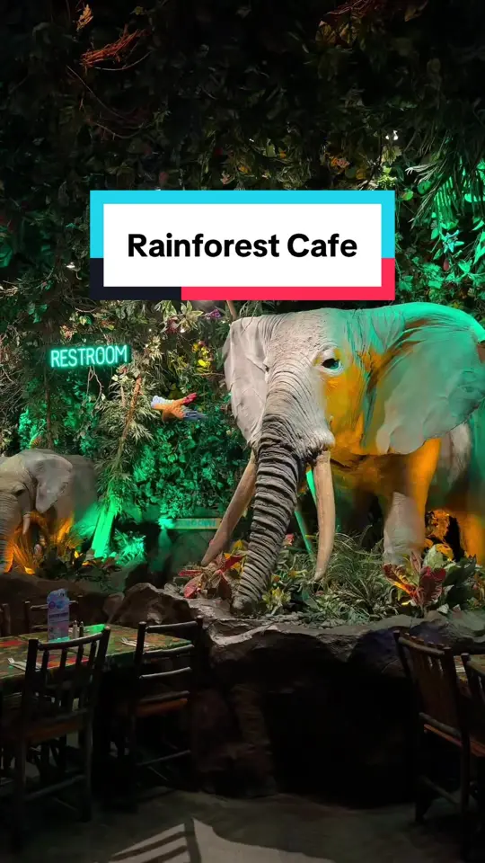 Rainforest Cafe in Lake Buena Vista showing visit, atmosphere, video by jenz_losangeles on TikTok