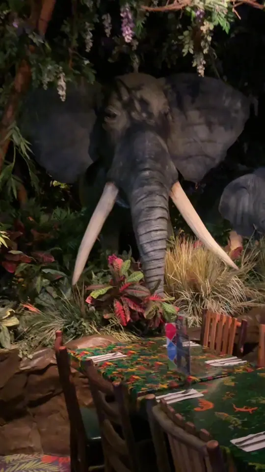 Rainforest Cafe in Sunrise showing review, atmosphere, visit, video by usamiam on TikTok