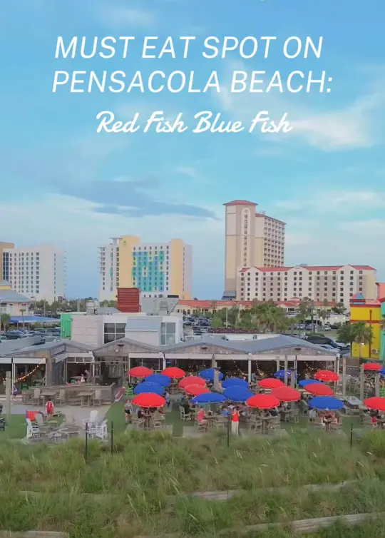 Red Fish Blue Fish Pensacola Beach on TikTok, video by pensacolabeachcom
