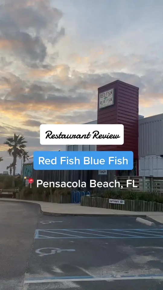 Red Fish Blue Fish Pensacola Beach on TikTok, video by theashleerose