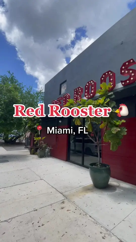 Red Rooster Overtown on TikTok, video by blogionistatravels
