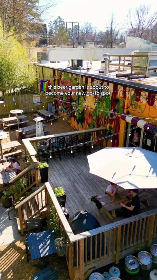 Red's Beer Garden in Atlanta showing review, visit, happy hour deals, beer, hot dogs, mozzarella sticks, video by atlbucketlist on TikTok
