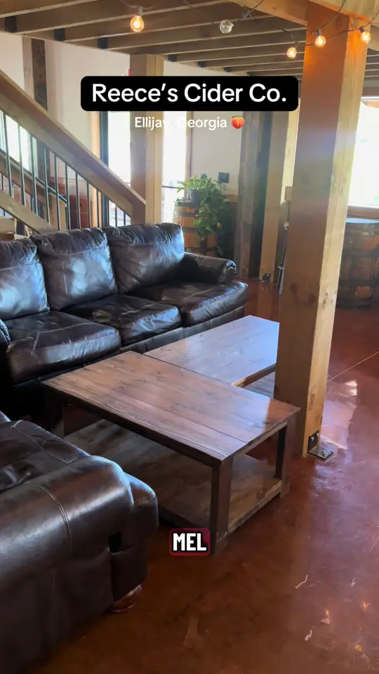 Reece’s Cider Company in Ellijay showing review, cider float, caramel apple cider, granny smith cider, georgia peach cider, video by jamarexploresgeorgia on TikTok