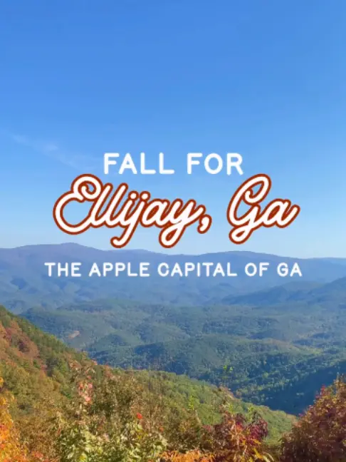 Reece’s Cider Company in Ellijay showing hard cider, fall season, apple picking, north georgia mountains, video by pickellijay on TikTok