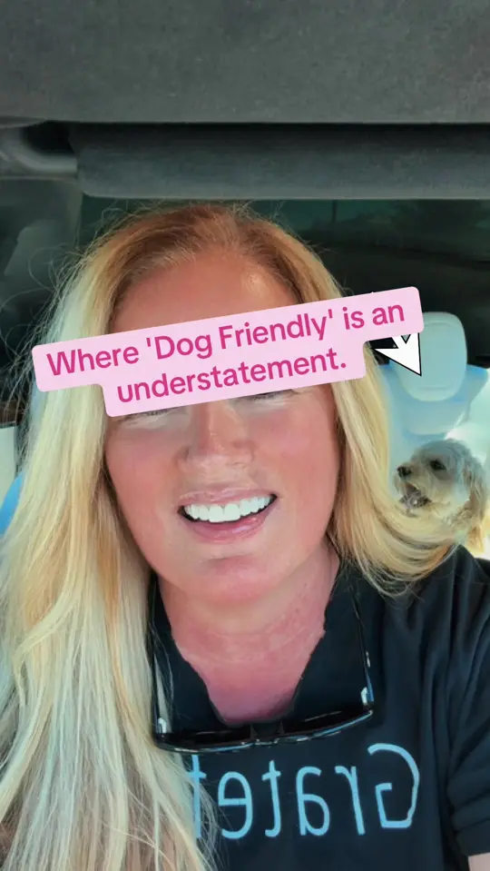 Remy’s on Main in Lakewood Ranch showing review, visit, atmosphere, patio, modern comfort food, video by tinahannafordaz on TikTok
