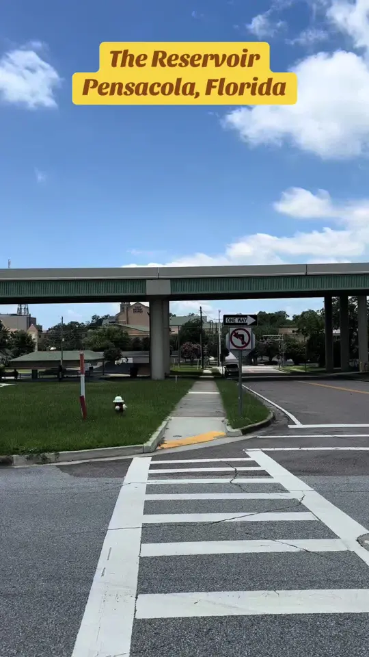  in Florida showing visit, chicken, video by thehungerbrothers on TikTok