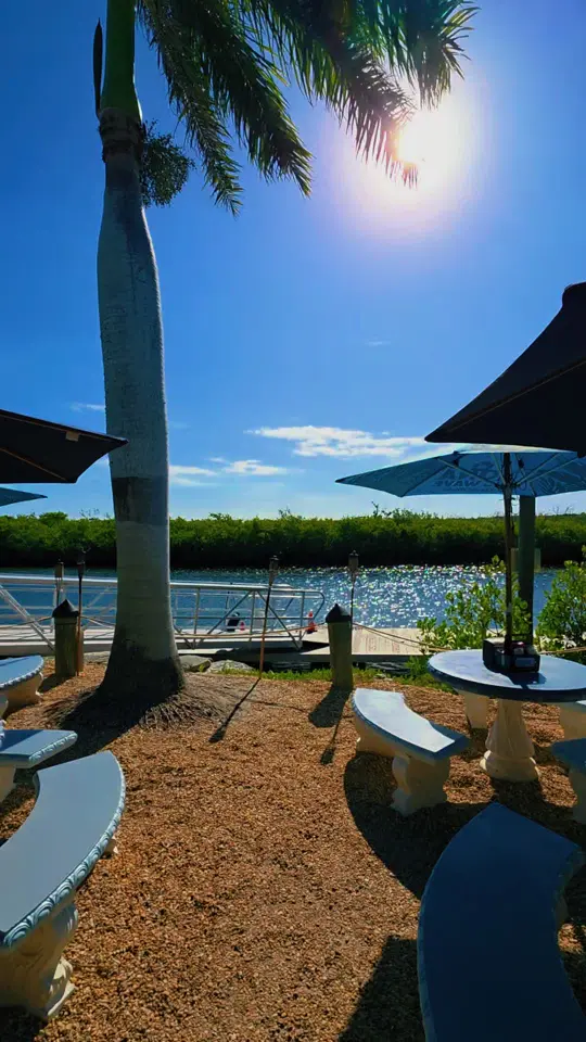 Riviera Bar and Grill in Punta Gorda showing review, visit, video by floridalife4stacy on TikTok