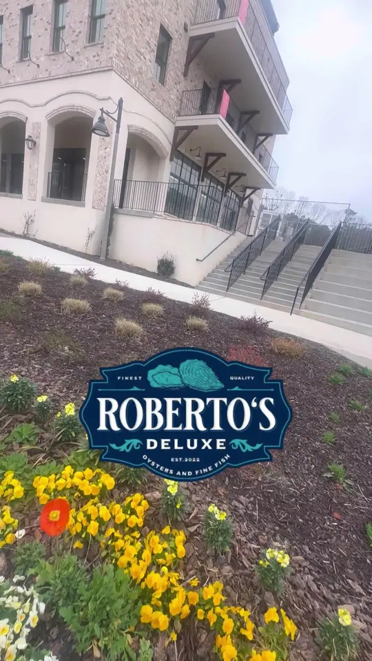 Roberto's Deluxe Oysters and Fine Fish in Woodstock showing restaurant opening, oysters, shellfish, raw bar, fish stew, chowder, video by robertosdeluxeoysters on TikTok