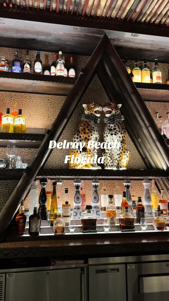 Roka Hula in Delray Beach showing restaurant visit, short rib gyoza, bao, smash burger, yuzo margarita, video by blissfully.traveling on TikTok