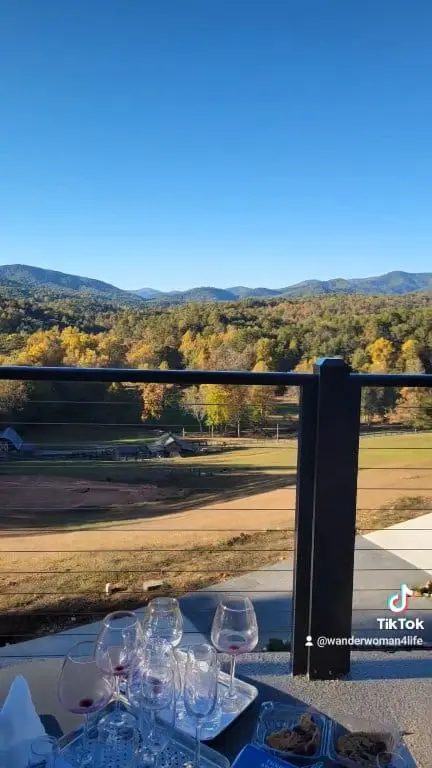 Roo Mountain Vineyards and Bistro - 21+ ONLY in Ellijay showing wine, sparkling traminette, syrah, video by Wendy Boyer Anglin on Facebook