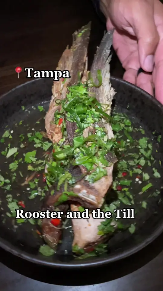 Rooster & The Till in Tampa showing food, cobia collar, video by foodpeopleluv on TikTok