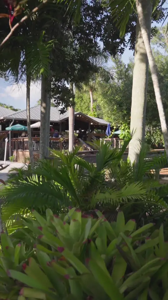 Rum Bucket Bar And Grill in Fort Myers showing seafood buffet, live music, video by brave.pursuits_swfl on TikTok