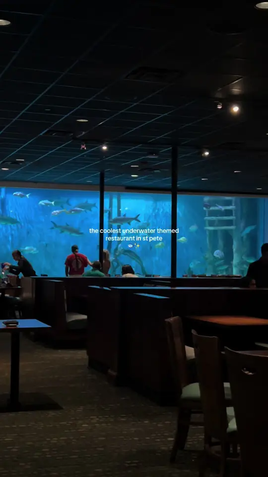 Rumfish Grill And Sports Bar in St. Pete Beach showing review, visit, atmosphere, video by thedailyhaleyy on TikTok