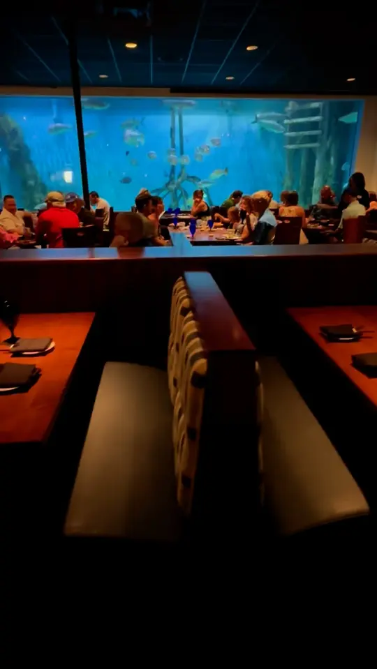 Rumfish Grill And Sports Bar in St. Pete Beach showing atmosphere, aquarium viewing area, fresh seafood, steak, jerk chicken, st. pete beach, video by Things To Do Tampa Bay on Facebook
