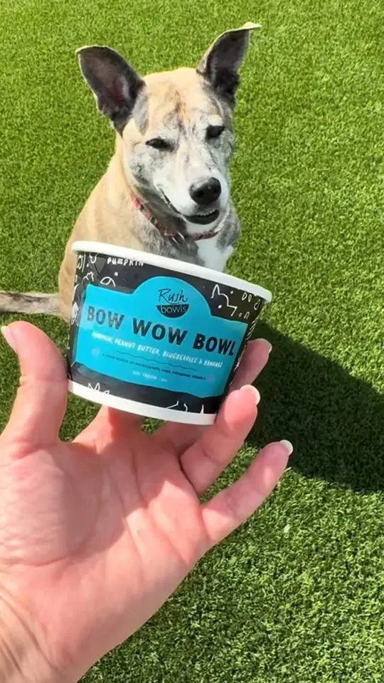 in Florida showing food, bow wow bowls, video by Rush Bowls on Facebook