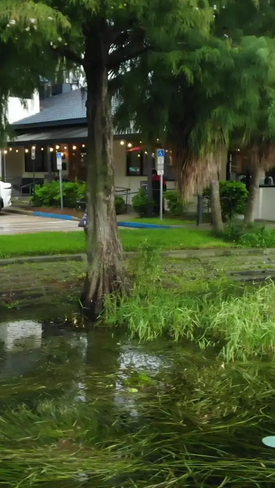 Russell's on Lake Ivanhoe in Orlando showing restaurant, views, video by Russell’s On Lake Ivanhoe on Facebook
