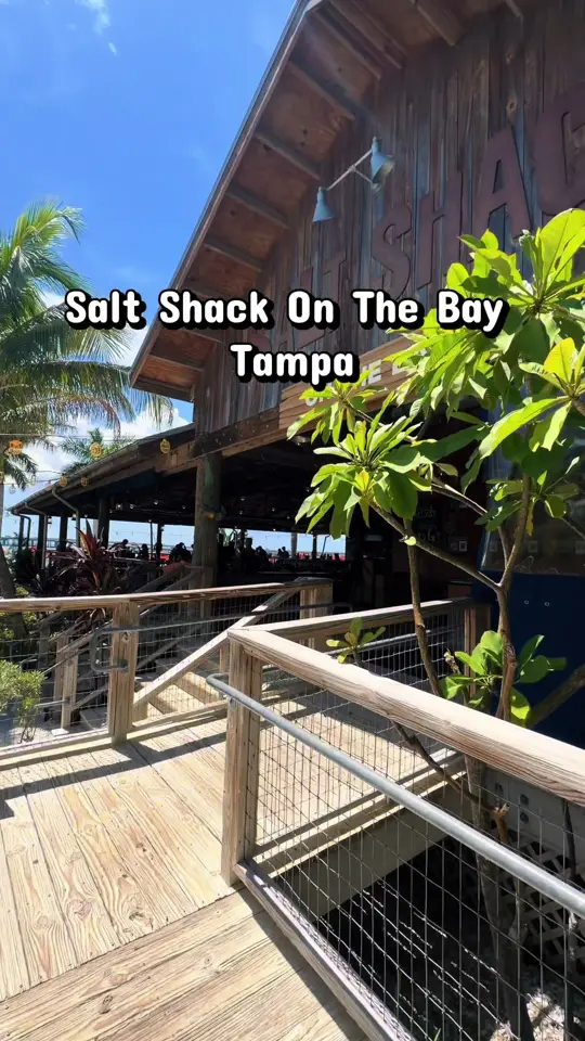 Salt Shack On The Bay on TikTok, video by hustlehealrepeat_