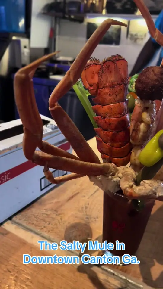 Salty Mule in Canton showing restaurant, cocktail, bloody mary, video by thesaltymule on TikTok