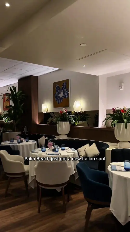 Salute Ristorante Palm Beach in Palm Beach showing food, italian food, video by explorewithgg on TikTok