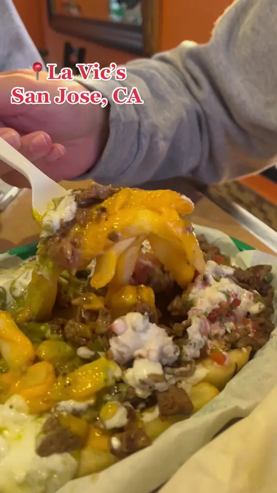 San Jose Mexican Restaurant in Lutz showing review, carne asada fries, video by tiktokmunchiez on TikTok