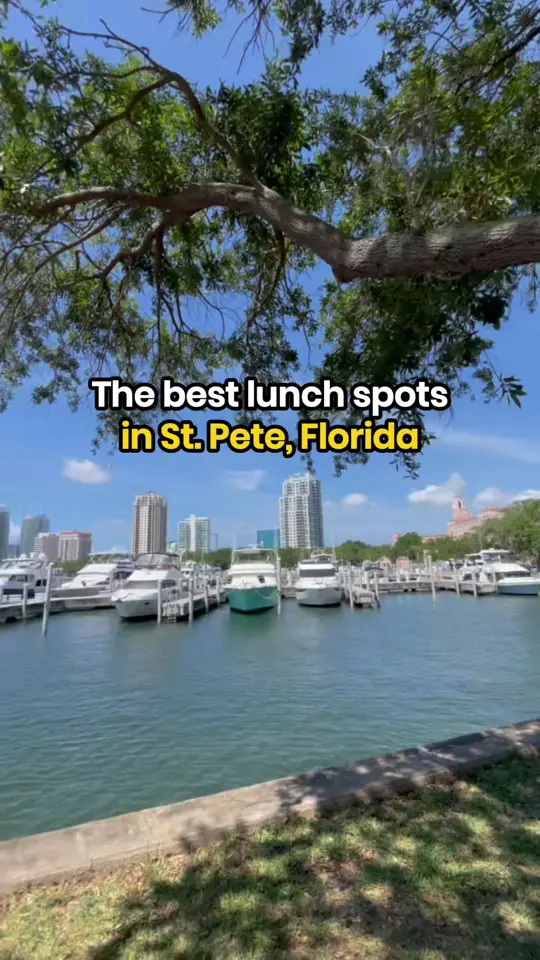  in Florida showing lunch, restaurant visit, video by ilovetheburgstpete on TikTok