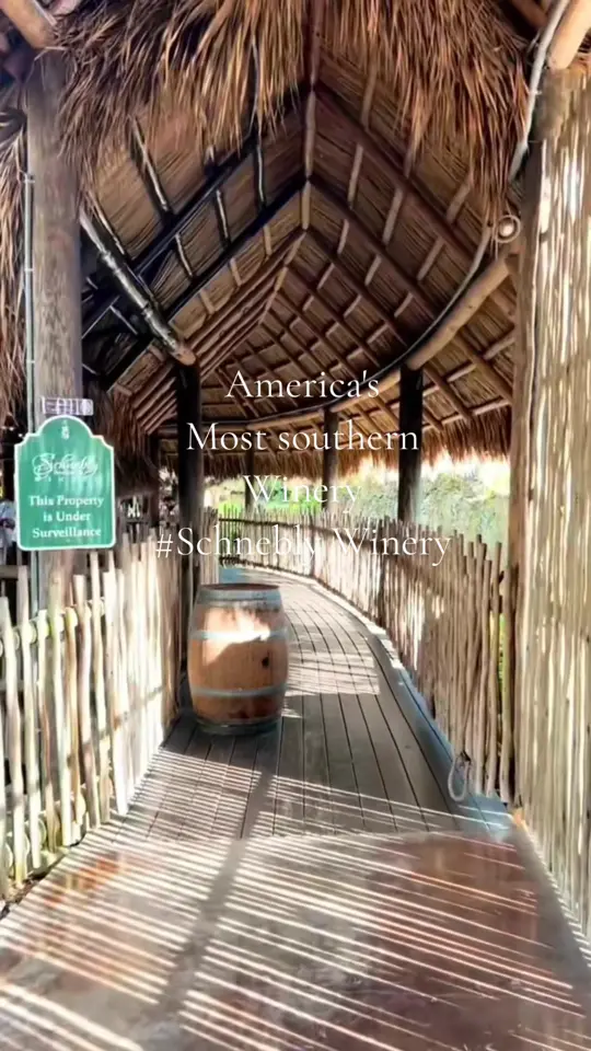 Schnebly Redland's Winery & Brewery in Homestead showing tropical fruit wine, winery visit, brewery, tiki huts, waterfalls, countryside atmosphere, video by hiddengemssouthflorida on TikTok