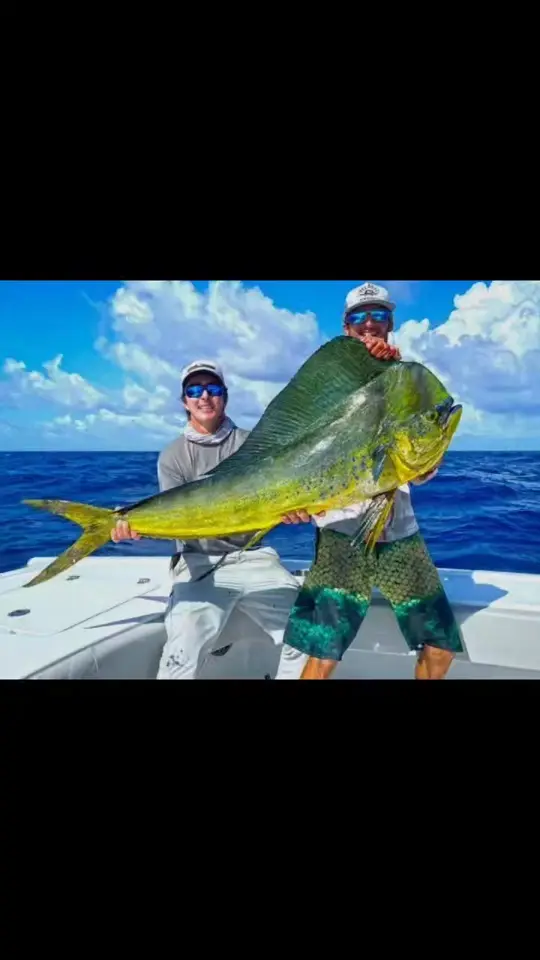 Scooter's Fish House in Navarre, video by Scooter's Fish House on Facebook