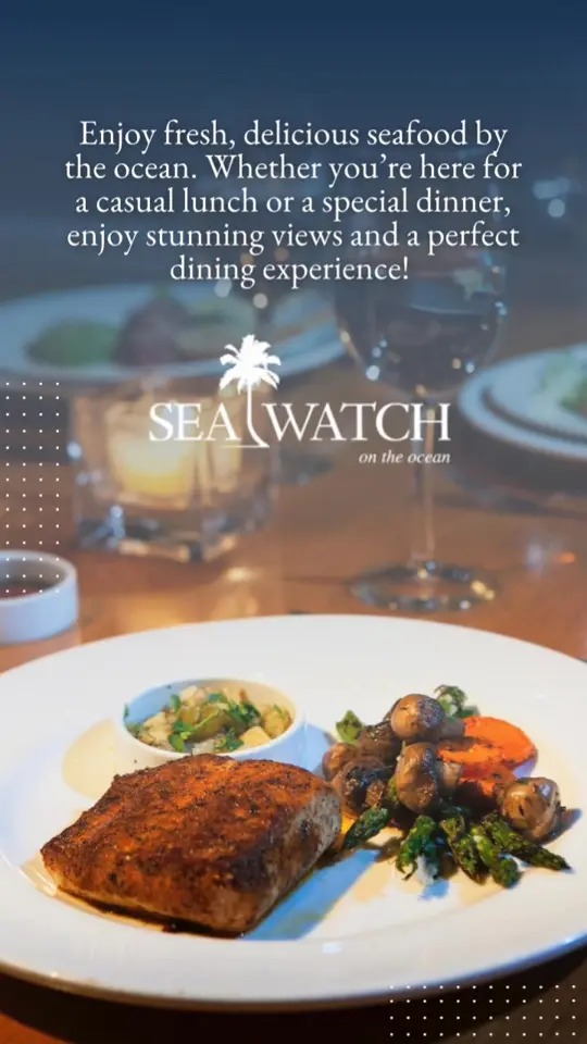Sea Watch On the Ocean in Fort Lauderdale showing oceanfront dining, fresh seafood, stunning views, casual lunch, special dinner, video by Sea Watch On the Ocean on Facebook