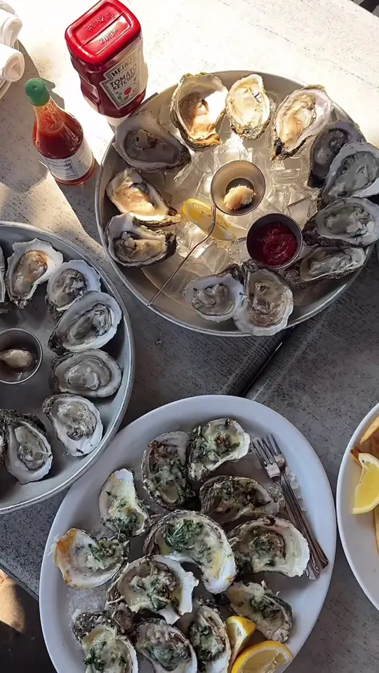 Seafood Island Bar & Grille in Jacksonville showing oysters, seafood, video by tommysafer on TikTok