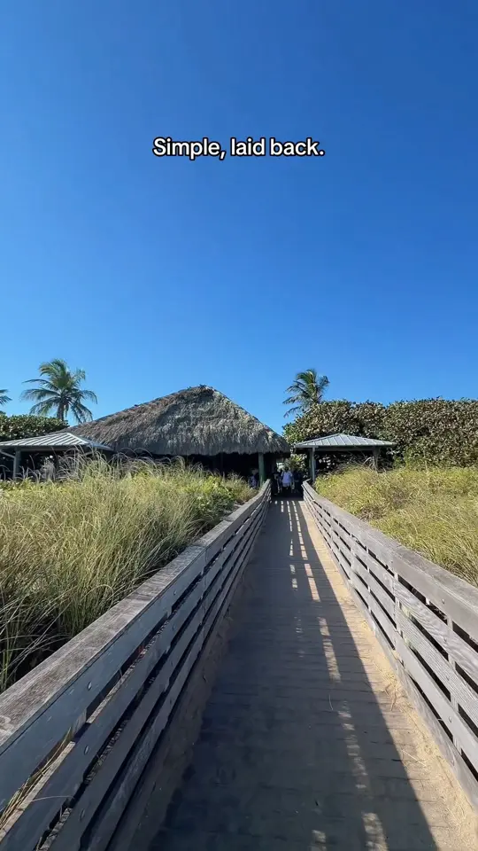  in Florida showing beachfront breakfast, lunch, ocean view, video by The Hill Fam Show on YouTube