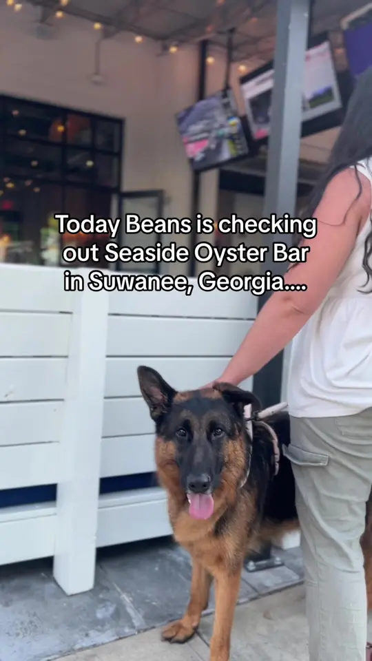 Seaside Coastal Kitchen Suwanee in Suwanee showing restaurant visit, dog friendly review, video by motherofgermanshepherds on TikTok