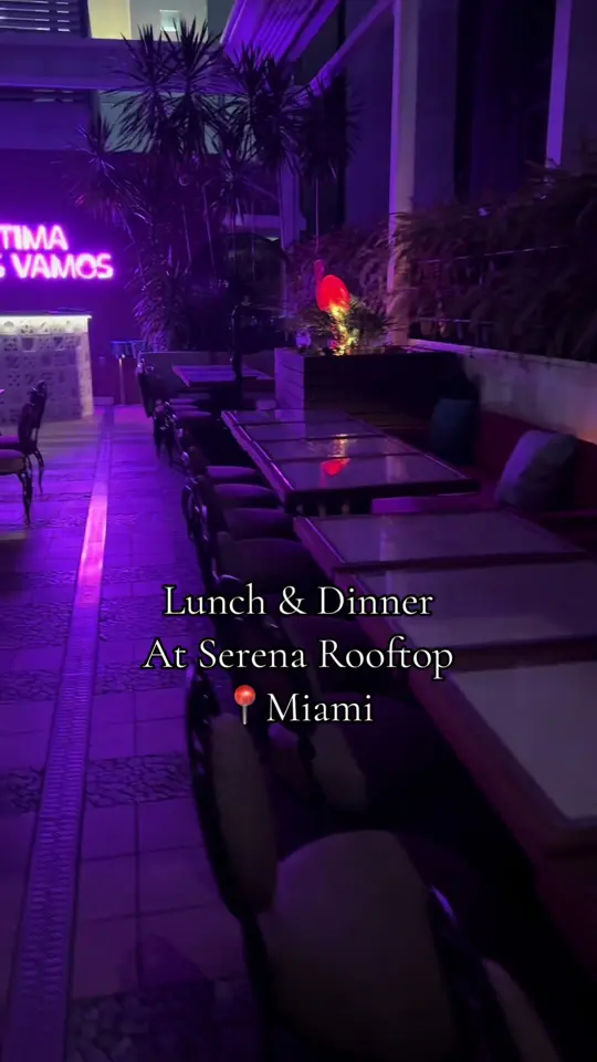 Serena in Miami Beach showing visit, review, video by mobbinwithchu on TikTok