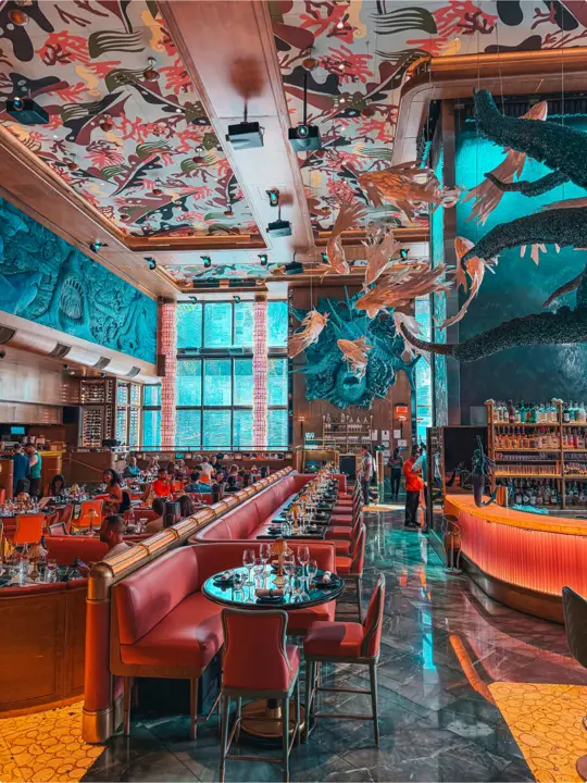 Sexy Fish Miami in Miami showing restaurant visit, lunch set, edamame, yellowtail sashimi, chirashi bowl, chocolate semifreddo, chu toro nigiri, video by guidedbydestiny on TikTok