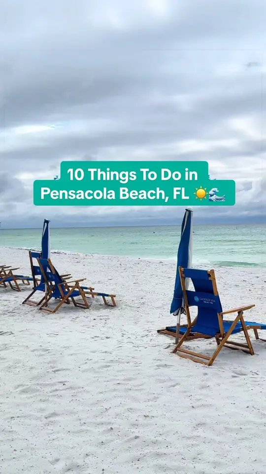 Shaggy's Pensacola Beach in Pensacola showing drinks, gator bites, video by through.becs.specs on TikTok