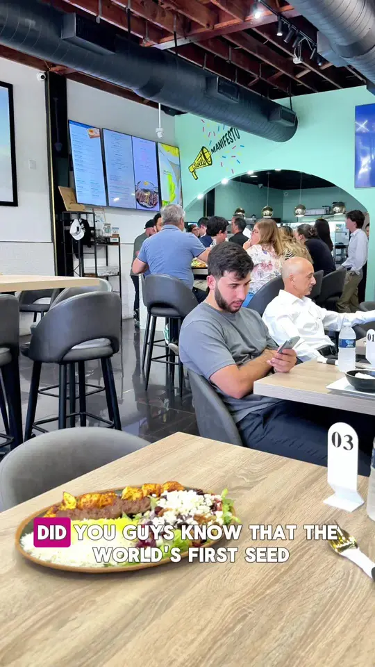 Shahs of Kabob in South Miami showing restaurant, persian food, video by miamifriendors on TikTok