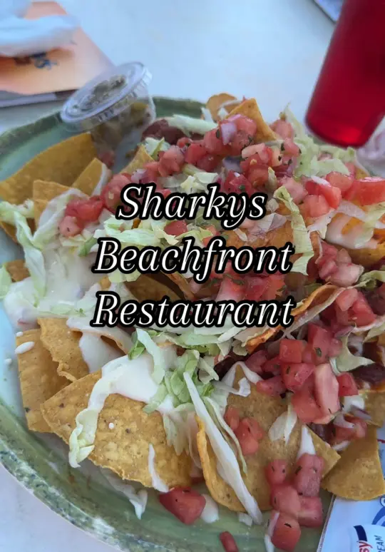 Sharky's Beachfront Restaurant in Panama City Beach showing review, visit, video by kpritchett1215 on TikTok
