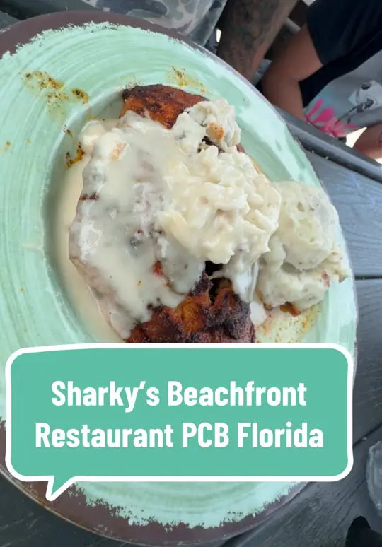 Sharky's Beachfront Restaurant in Panama City Beach showing food review, beachfront restaurant, video by lizkiki3 on TikTok