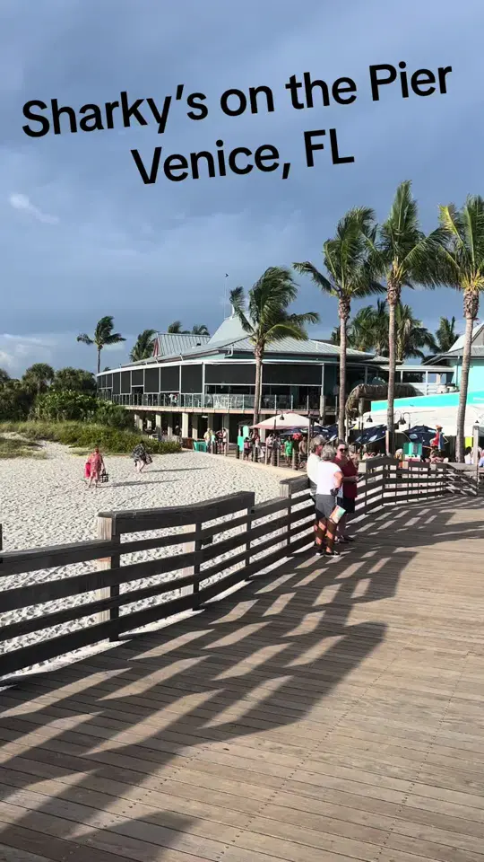 Sharky's On the Pier in Venice showing review, visit, video by teachingwithwanderlust on TikTok